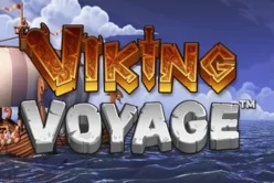 Viking Voyage