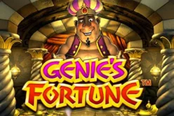 Genie’s Fortune