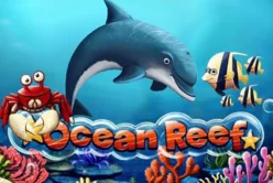 Ocean Reef