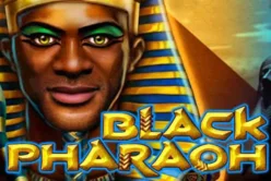 Black Pharaoh