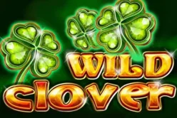 Wild Clover