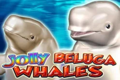 Jolly Beluga Whales