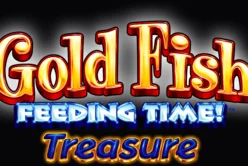 Gold Fish Feeding Time