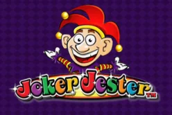 Joker Jester