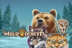 Wild North