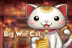 Big Win Cat
