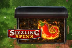 Sizzling Spins