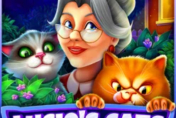 Lucie's Cats