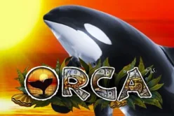 Orca