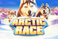 Arctic Race