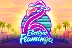 Electric Flamingo