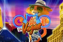 Cat in Vegas
