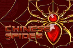 Chinese Spider