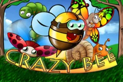 Crazy Bee