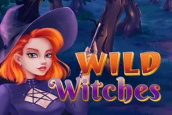 Wild Witches