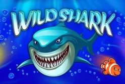 Wild Shark Bonus Buy