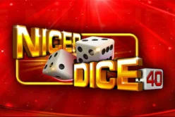 Nicer Dice 40