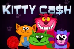 Kitty Cash