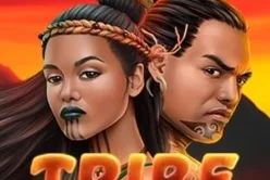 Tribe