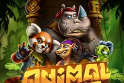 Animal Quest