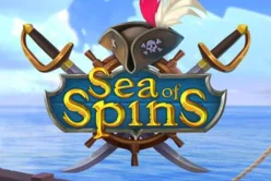 Sea of Spins