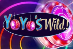 Yoyo's Wild