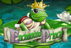 Enchanted Prince