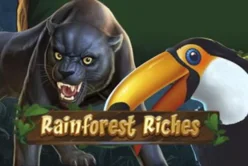 Rainforest Riches