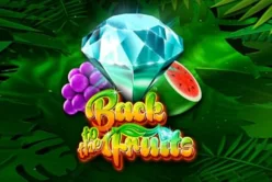 Back to the Fruits