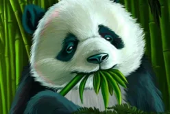 Rich Panda