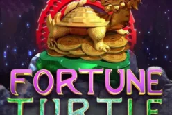 Fortune Turtle