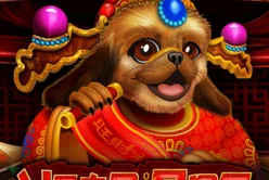 Year of the Dog