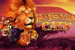 Majestic Cats