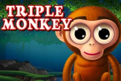 Triple Monkey