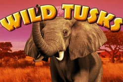Wild Tusks