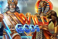 Wild Gods