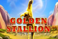 Golden Stallion™