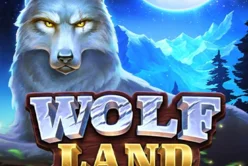 Wolf Land: Hold and Win
