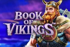 Book of Vikings™