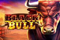 Black Bull