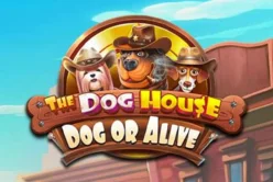 The Dog House – Dog or Alive