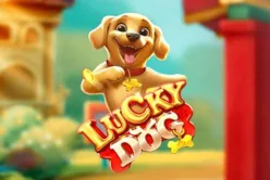 Lucky Dog