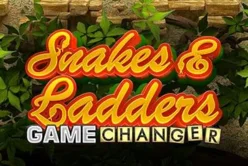 Snakes & Ladders Game Changer