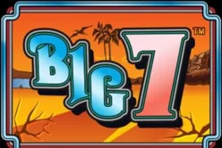 Big 7™