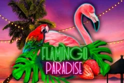 Flamingo Paradise
