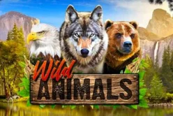Wild Animals