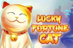 Lucky Fortune Cat