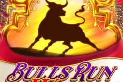Bulls Run Wild