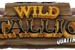 Wild Stallion Quattro