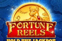 Fortune Reels